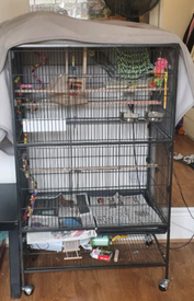 parrot cages for sale gumtree